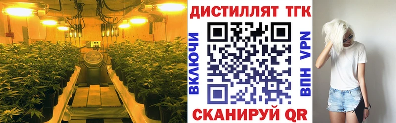 Дистиллят ТГК вейп  купить наркотик  Шацк 