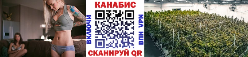 продажа наркотиков  Шацк  мориарти официальный сайт  Канабис индика 